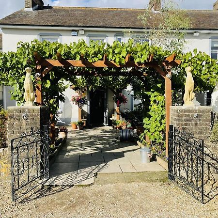 The Greyhound Inn Sydling St Nicholas Exteriör bild